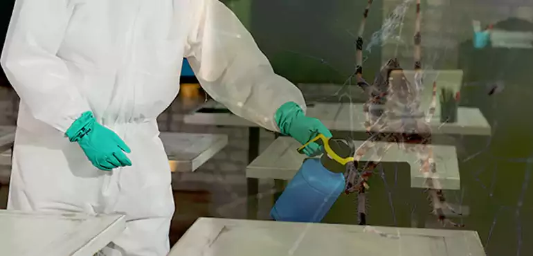 Why Buyers Still Want Homes With Pest Infestations in Delaware, DE?
