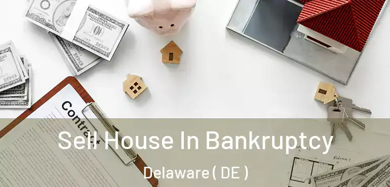  Sell House In Bankruptcy Delaware ( DE )