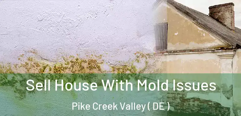  Sell House With Mold Issues Pike Creek Valley ( DE )
